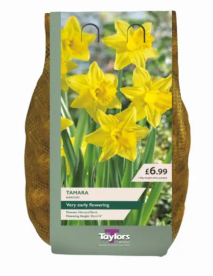 Narcissi Tamara Carri-Pack
