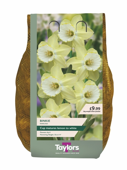 Narcissus Binkie Carri-Pack
