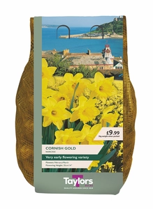 Narcissus Cornish Gold Carri-Pack