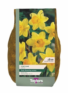 Narcissus Fortune Carri-Pack