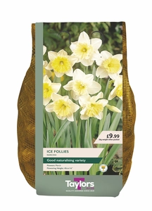 Narcissus Ice Follies Carri-Pack