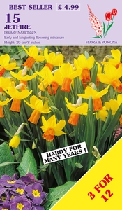 Narcissus Jetfire
