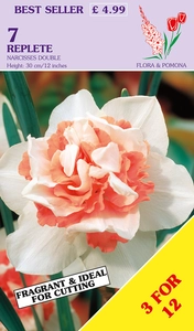 Narcissus Replete