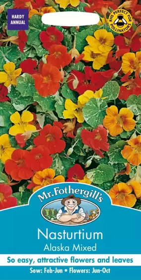 Nasturtium Alaska Mixed - image 1