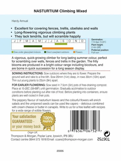 Nasturtium Climbing Mixed - image 2