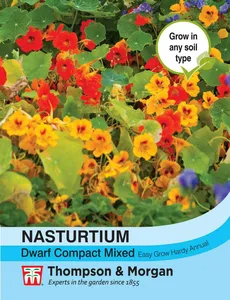 Nasturtium Dwarf Compact Mixed - image 1