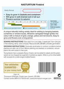 Nasturtium Firebird - image 2