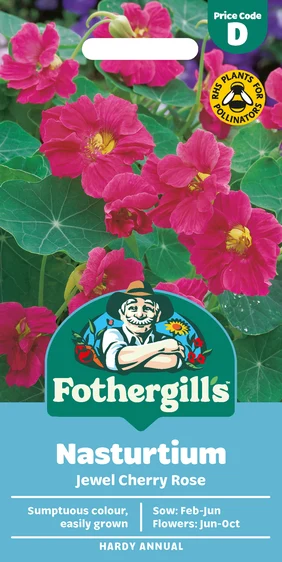 Nasturtium Jewel Cherry Rose - image 1