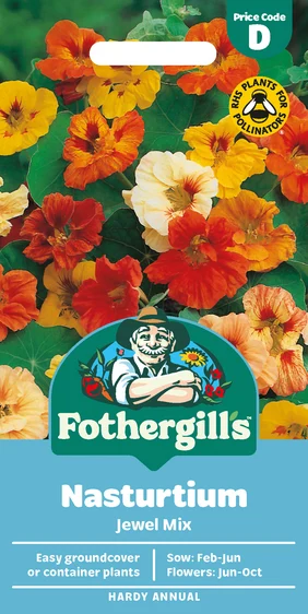 Nasturtium Jewel Mixed - image 1