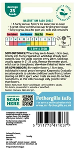 Nasturtium Paso Doble - image 2