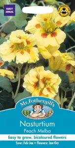 Nasturtium Peach Melba - image 2