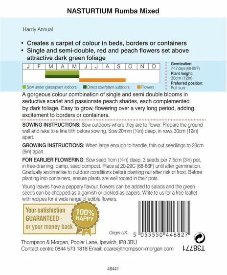 Nasturtium Rumba Mixed - image 2