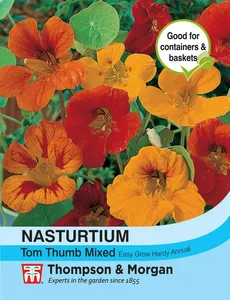 Nasturtium Tom Thumb Mixed - image 1