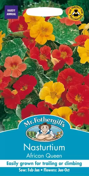 Nasturtium (Trailing) African Queen - image 1