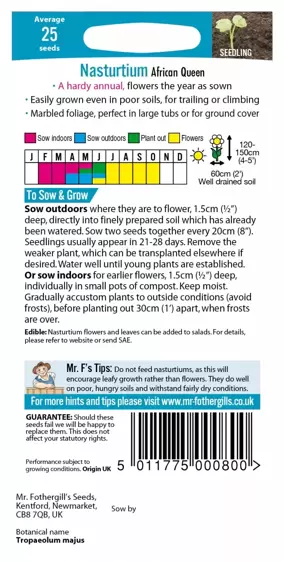 Nasturtium (Trailing) African Queen - image 2