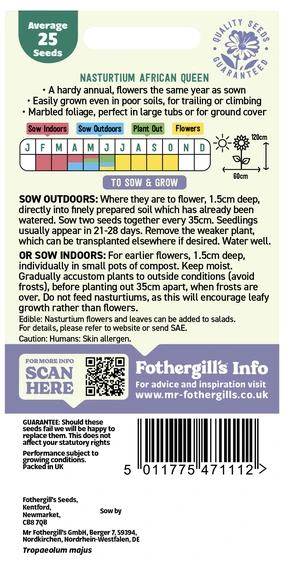 Nasturtium (Trailing) African Queen - image 2