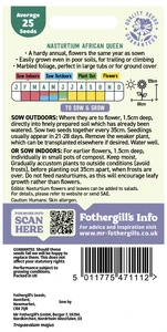 Nasturtium (Trailing) African Queen - image 2