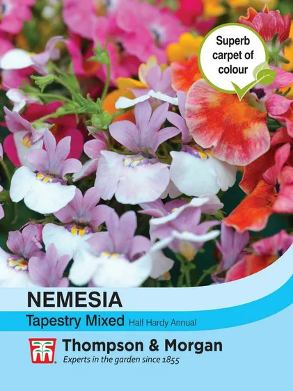 Nemesia Tapestry Mixed - image 1