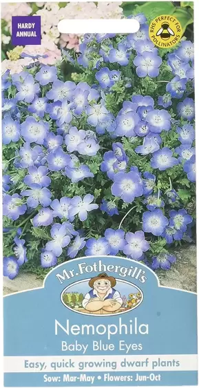 Nemophila Baby Blue Eyes - image 1