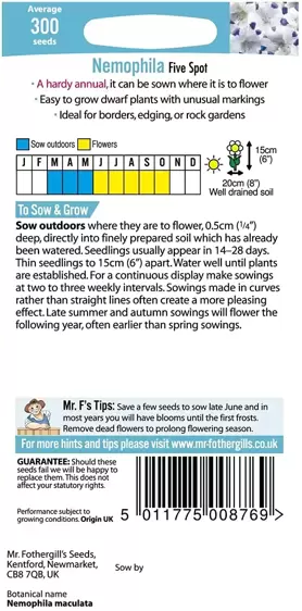 Nemophila Five Spot - image 2