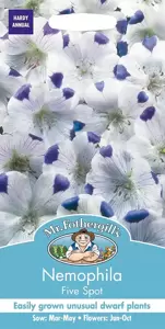 Nemophila Five Spot - image 1