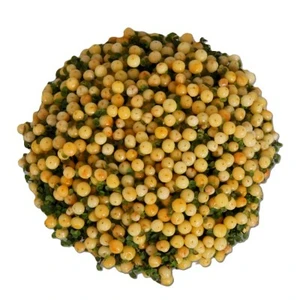 Nertera granadensis 'Suzanne' - image 2