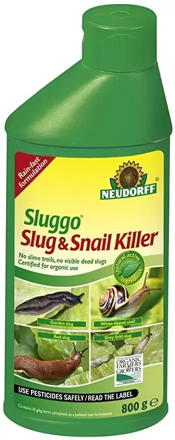 Slug bait shop