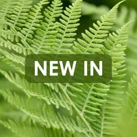 New In - Houseplants