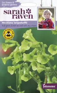 Nicotiana langsdorffii - image 1