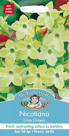 Nicotiana Lime Green - image 1