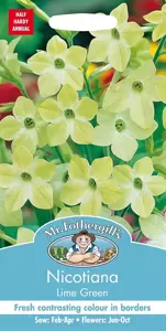 Nicotiana Lime Green - image 1