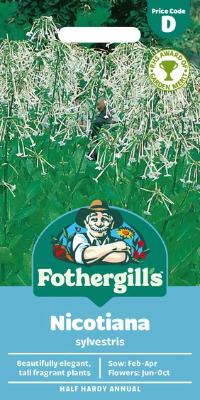 Nicotiana Sylvestris - image 1