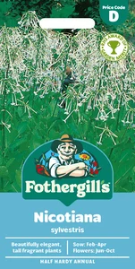 Nicotiana Sylvestris - image 1