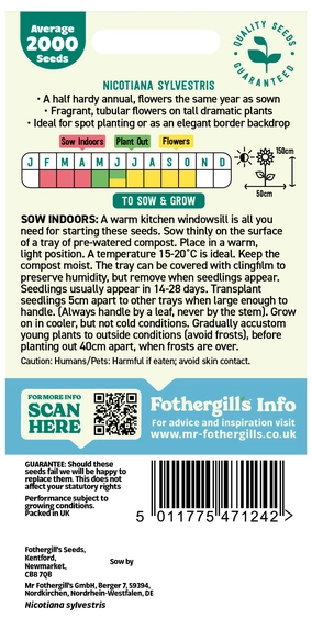Nicotiana Sylvestris - image 2