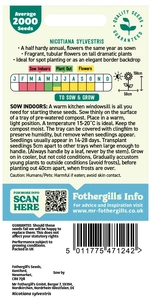 Nicotiana Sylvestris - image 2