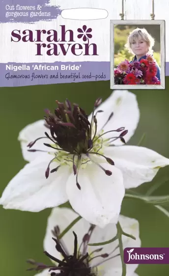 Nigella African Bride - image 1