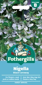 Nigella Black Caraway - image 1