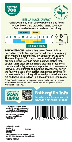 Nigella Black Caraway - image 2