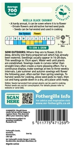 Nigella Black Caraway - image 2