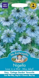 Nigella Love In A Mist - Miss Jekyll - image 1