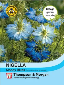 Nigella Moody Blues - image 1