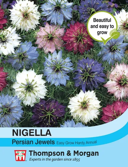 Nigella Persian Jewels Mixed - image 1