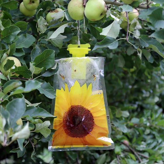 Nippon Wasp Trap - image 2