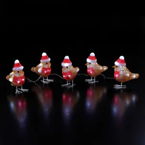 Noma Acrylic Festive Robins Set