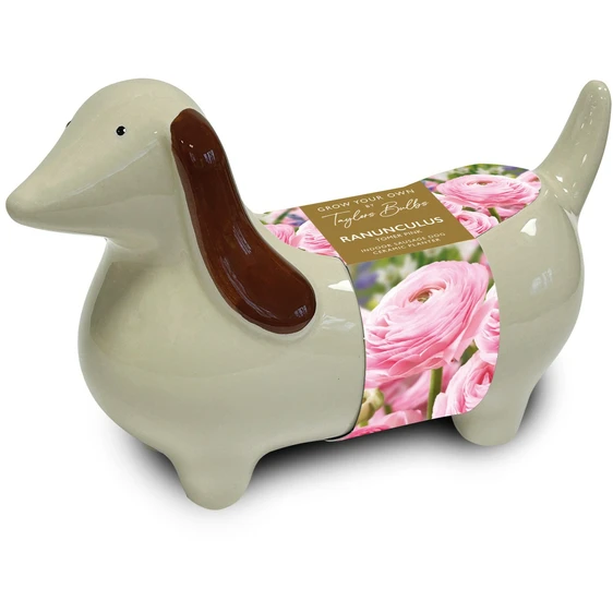 Novelty Sausage Dog Planter