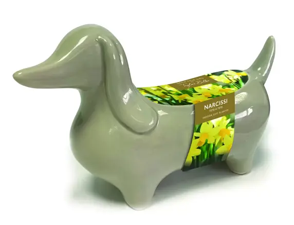Novelty Sausage Dog Spring Planter