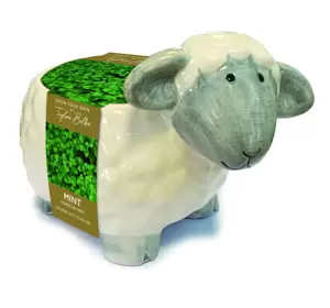 Novelty Sheep Planter