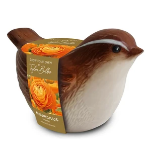 Novelty Wren Planter
