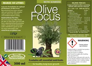 Olive Focus 300 ml - image 2