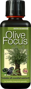 Olive Focus 300 ml - image 1